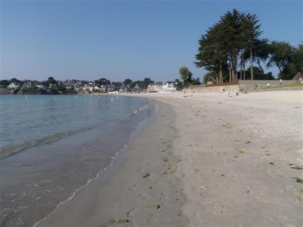 T3 Rdc 200 M2 De Jardin Plages A 700 M Plougonvelin Exterior foto